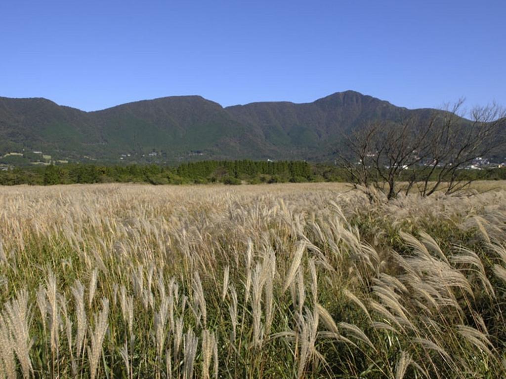 Gora Hanaougi Hakone Esterno foto