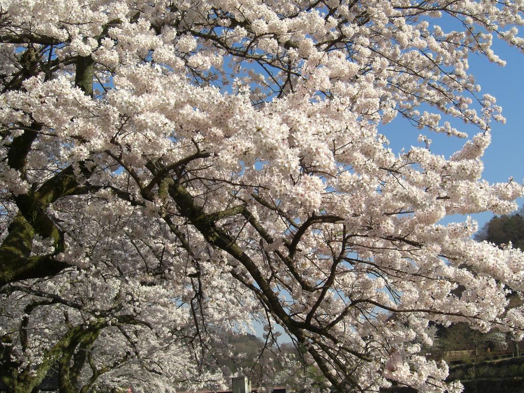 Gora Hanaougi Hakone Esterno foto